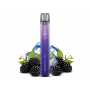 ELFBAR 800 Blackberry Ice E-Shisha 20 mg/ml