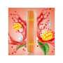 HQD SURV Mango E-Shisha 18mg
