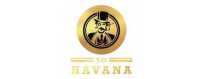 XO Havana – Authentischer E-Zigarre Genuss