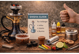 Shisha für Anfänger – Tipps & erste Schritte