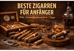 Zigarillos für Anfänger – Der perfekte Einstieg