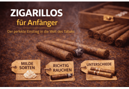 Zigarillos für Anfänger – Der perfekte Einstieg
