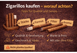 Zigarren kaufen – Worauf Anfänger wirklich achten sollten